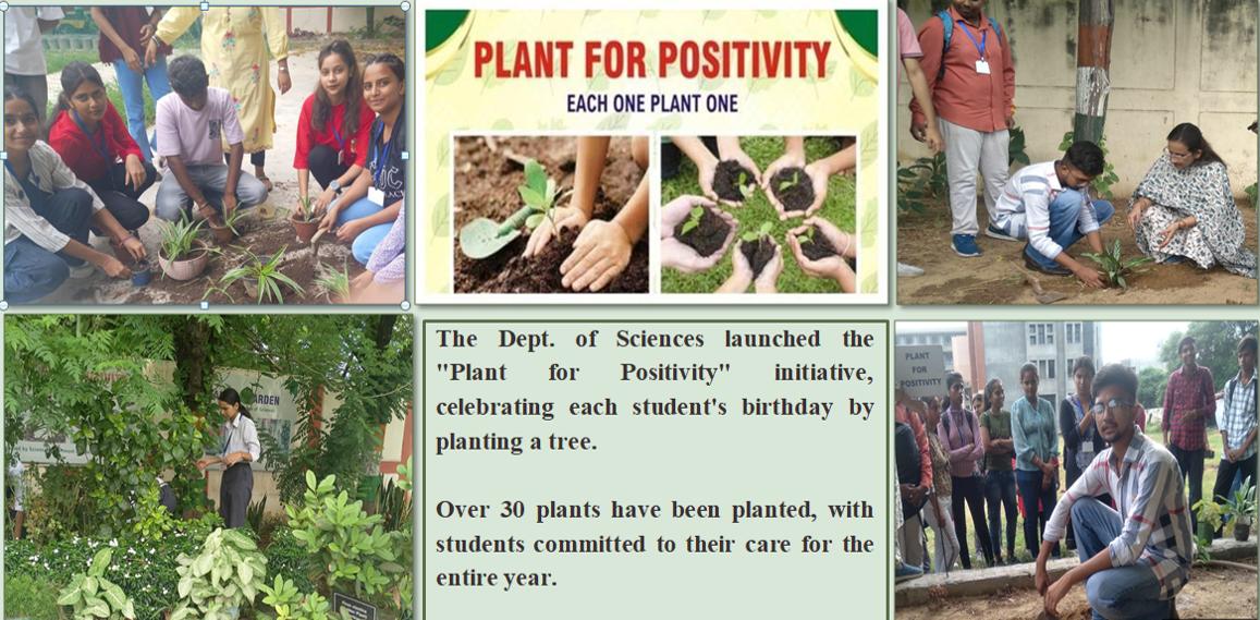Plant for Positivity